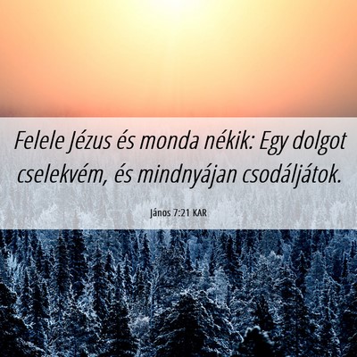 Picture 06 - János 7:21 KAR - Felele Jézus és monda nékik: Egy dolgot - Bible Verse Picture