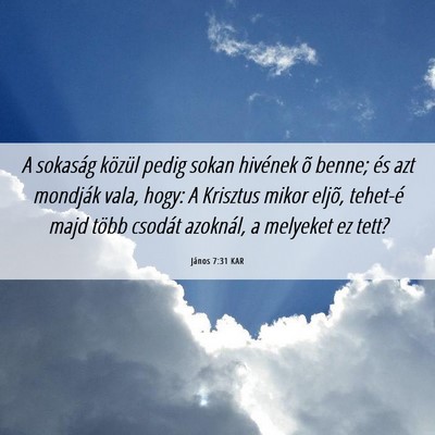 Picture 06 - János 7:31 KAR - A sokaság közül pedig sokan hivének õ benne; - Bible Verse Picture