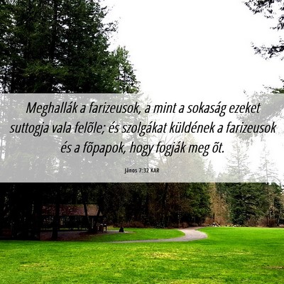 Picture 06 - János 7:32 KAR - Meghallák a farizeusok, a mint a sokaság ezeket - Bible Verse Picture