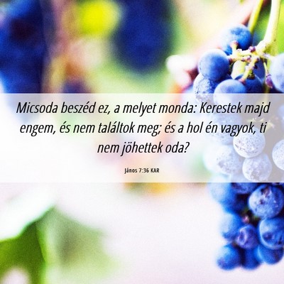 Picture 06 - János 7:36 KAR - Micsoda beszéd ez, a melyet monda: Kerestek majd - Bible Verse Picture