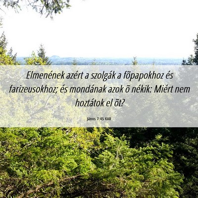 Picture 06 - János 7:45 KAR - Elmenének azért a szolgák a fõpapokhoz és - Bible Verse Picture