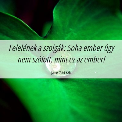 Picture 06 - János 7:46 KAR - Felelének a szolgák: Soha ember úgy nem - Bible Verse Picture