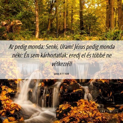 Picture 06 - János 8:11 KAR - Az pedig monda: Senki, Uram! Jézus pedig monda - Bible Verse Picture