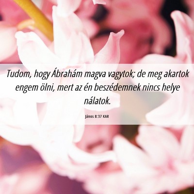 Picture 06 - János 8:37 KAR - Tudom, hogy Ábrahám magva vagytok; de meg - Bible Verse Picture