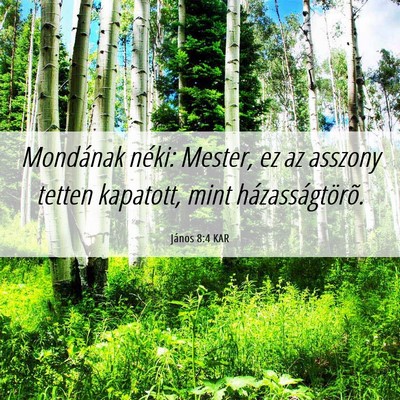 Picture 06 - János 8:4 KAR - Mondának néki: Mester, ez az asszony tetten - Bible Verse Picture