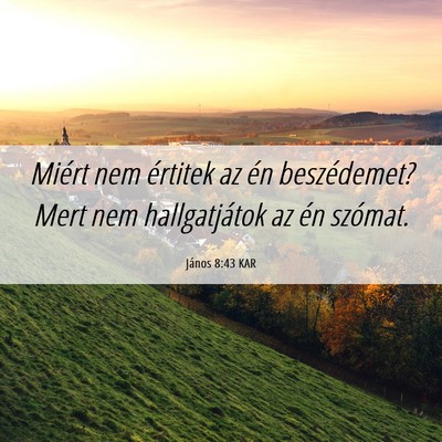 Picture 06 - János 8:43 KAR - Miért nem értitek az én beszédemet? Mert nem - Bible Verse Picture