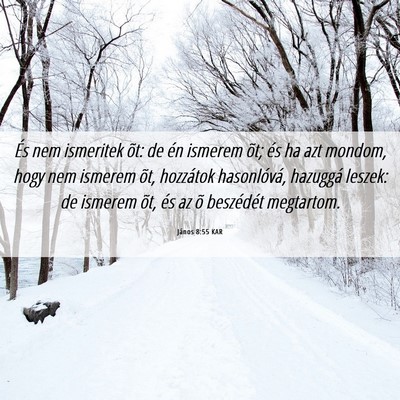 Picture 06 - János 8:55 KAR - És nem ismeritek õt: de én ismerem õt; és ha - Bible Verse Picture