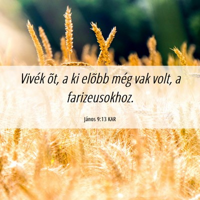 Picture 06 - János 9:13 KAR - Vivék õt, a ki elõbb még vak volt, a - Bible Verse Picture