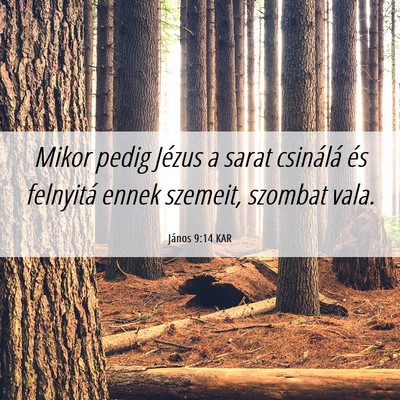Picture 06 - János 9:14 KAR - Mikor pedig Jézus a sarat csinálá és - Bible Verse Picture