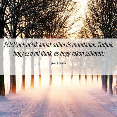 Picture 06 - János 9:20 KAR - Felelének nékik annak szülei és mondának: - Bible Verse Picture