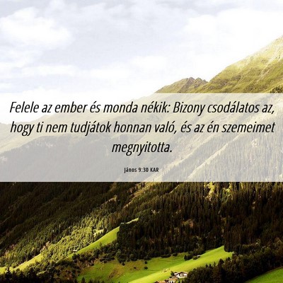 Picture 06 - János 9:30 KAR - Felele az ember és monda nékik: Bizony - Bible Verse Picture