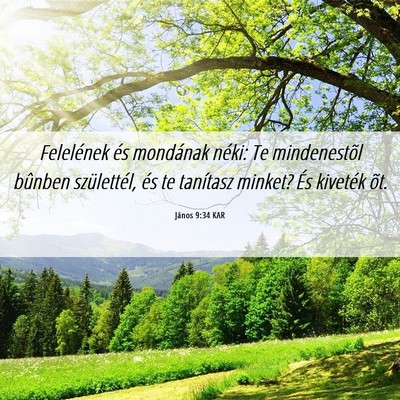 Picture 06 - János 9:34 KAR - Felelének és mondának néki: Te mindenestõl - Bible Verse Picture