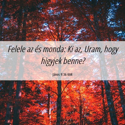 Picture 06 - János 9:36 KAR - Felele az és monda: Ki az, Uram, hogy higyjek - Bible Verse Picture