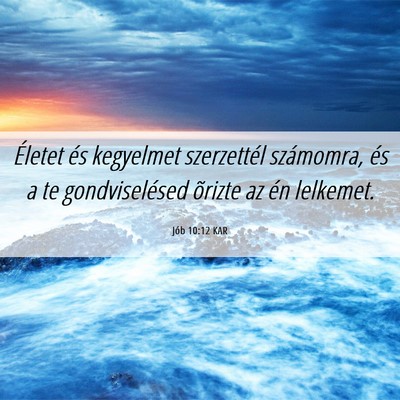 Picture 06 - Jób 10:12 KAR - Életet és kegyelmet szerzettél számomra, és - Bible Verse Picture