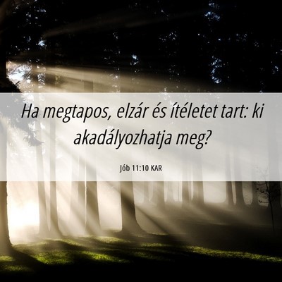 Picture 06 - Jób 11:10 KAR - Ha megtapos, elzár és ítéletet tart: ki - Bible Verse Picture