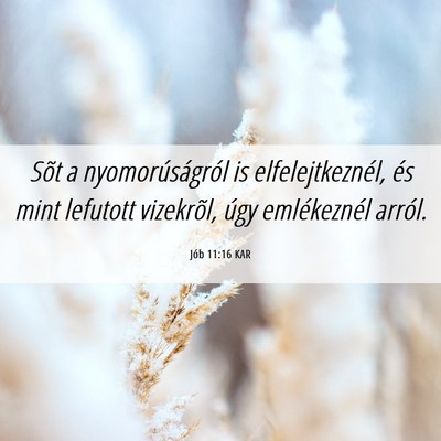 Picture 06 - Jób 11:16 KAR - Sõt a nyomorúságról is elfelejtkeznél, és - Bible Verse Picture