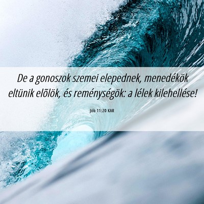 Picture 06 - Jób 11:20 KAR - De a gonoszok szemei elepednek, menedékök - Bible Verse Picture