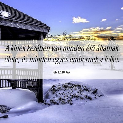 Picture 06 - Jób 12:10 KAR - A kinek kezében van minden élõ állatnak - Bible Verse Picture