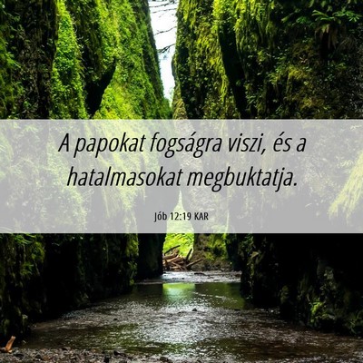 Picture 06 - Jób 12:19 KAR - A papokat fogságra viszi, és a hatalmasokat - Bible Verse Picture