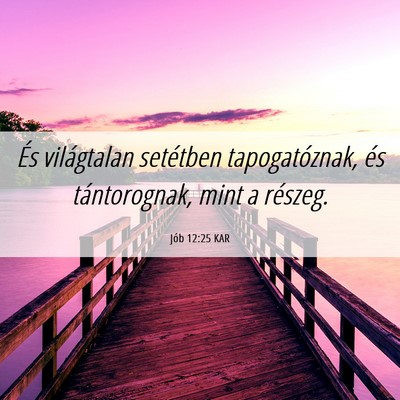 Picture 06 - Jób 12:25 KAR - És világtalan setétben tapogatóznak, és - Bible Verse Picture