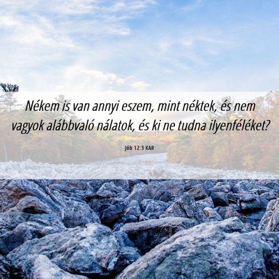 Picture 06 - Jób 12:3 KAR - Nékem is van annyi eszem, mint néktek, és nem - Bible Verse Picture