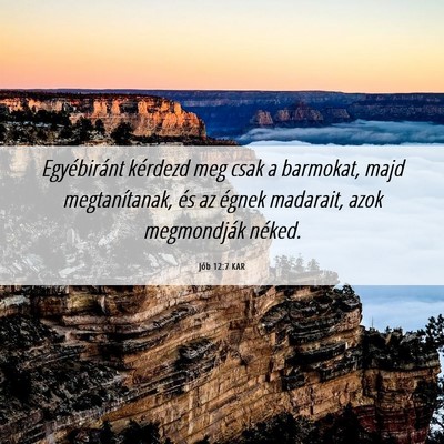 Picture 06 - Jób 12:7 KAR - Egyébiránt kérdezd meg csak a barmokat, majd - Bible Verse Picture
