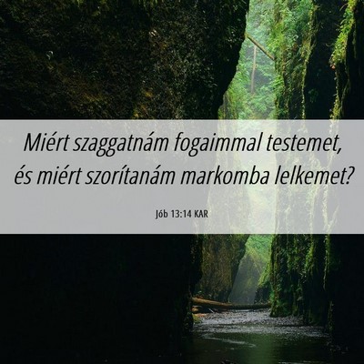 Picture 06 - Jób 13:14 KAR - Miért szaggatnám fogaimmal testemet, és miért - Bible Verse Picture
