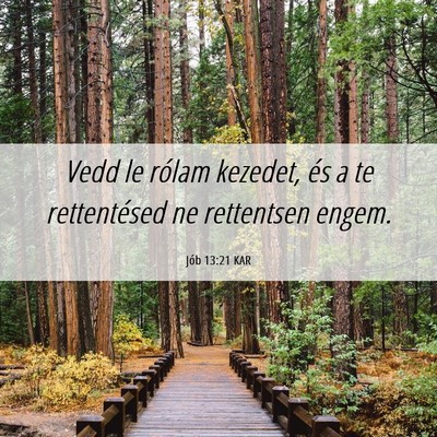 Picture 06 - Jób 13:21 KAR - Vedd le rólam kezedet, és a te rettentésed ne - Bible Verse Picture