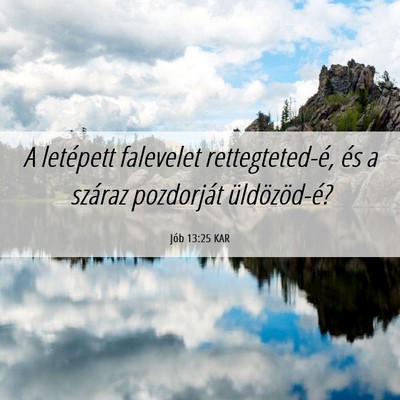 Picture 06 - Jób 13:25 KAR - A letépett falevelet rettegteted-é, és a - Bible Verse Picture