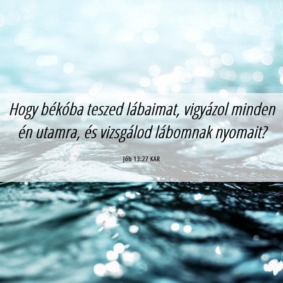 Picture 06 - Jób 13:27 KAR - Hogy békóba teszed lábaimat, vigyázol minden - Bible Verse Picture