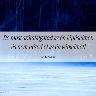 Picture 06 - Jób 14:16 KAR - De most számlálgatod az én lépéseimet, és - Bible Verse Picture