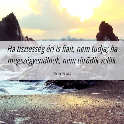 Picture 06 - Jób 14:21 KAR - Ha tisztesség éri is fiait, nem tudja; ha - Bible Verse Picture