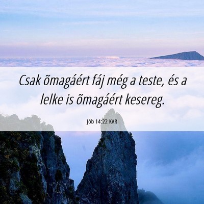 Picture 06 - Jób 14:22 KAR - Csak õmagáért fáj még a teste, és a lelke - Bible Verse Picture