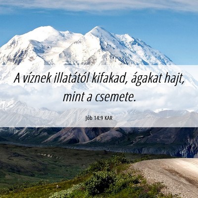 Picture 06 - Jób 14:9 KAR - A víznek illatától kifakad, ágakat hajt, mint - Bible Verse Picture