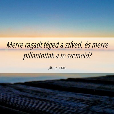 Picture 06 - Jób 15:12 KAR - Merre ragadt téged a szíved, és merre - Bible Verse Picture