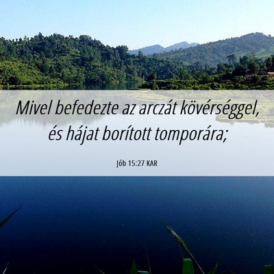 Picture 06 - Jób 15:27 KAR - Mivel befedezte az arczát kövérséggel, és - Bible Verse Picture