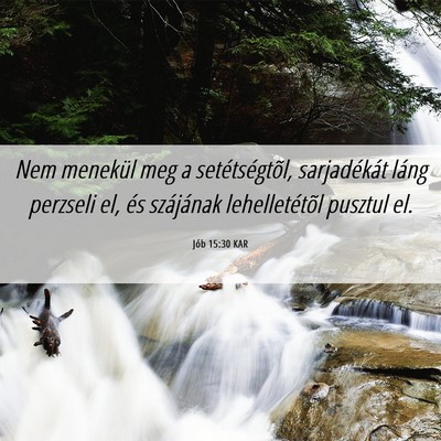 Picture 06 - Jób 15:30 KAR - Nem menekül meg a setétségtõl, sarjadékát - Bible Verse Picture