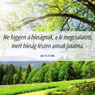 Picture 06 - Jób 15:31 KAR - Ne higyjen a hívságnak, a ki megcsalatott, mert - Bible Verse Picture
