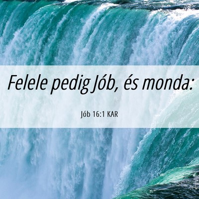 Picture 06 - Jób 16:1 KAR - Felele pedig Jób, és - Bible Verse Picture