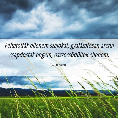 Picture 06 - Jób 16:10 KAR - Feltátották ellenem szájokat, gyalázatosan - Bible Verse Picture