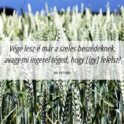 Picture 06 - Jób 16:3 KAR - Vége lesz-é már a szeles beszédeknek, avagy - Bible Verse Picture
