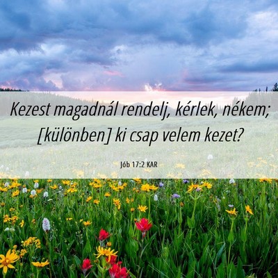 Picture 06 - Jób 17:2 KAR - Kezest magadnál rendelj, kérlek, nékem; - Bible Verse Picture