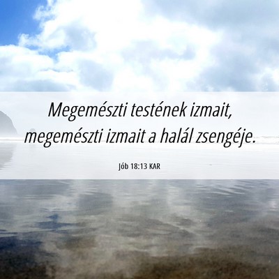 Picture 06 - Jób 18:13 KAR - Megemészti testének izmait, megemészti izmait - Bible Verse Picture