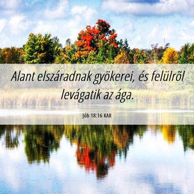 Picture 06 - Jób 18:16 KAR - Alant elszáradnak gyökerei, és felülrõl - Bible Verse Picture