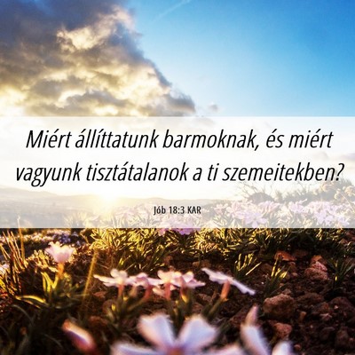 Picture 06 - Jób 18:3 KAR - Miért állíttatunk barmoknak, és miért - Bible Verse Picture