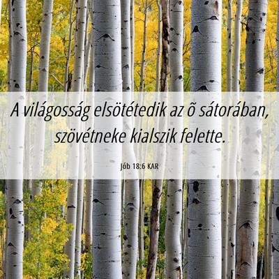 Picture 06 - Jób 18:6 KAR - A világosság elsötétedik az õ sátorában, - Bible Verse Picture
