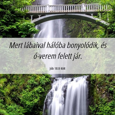 Picture 06 - Jób 18:8 KAR - Mert lábaival hálóba bonyolódik, és ó-verem - Bible Verse Picture