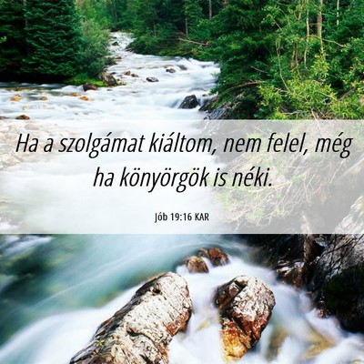Picture 06 - Jób 19:16 KAR - Ha a szolgámat kiáltom, nem felel, még ha - Bible Verse Picture