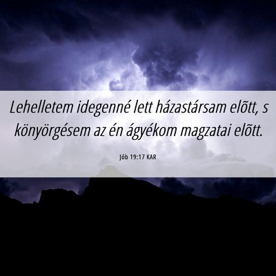 Picture 06 - Jób 19:17 KAR - Lehelletem idegenné lett házastársam elõtt, s - Bible Verse Picture