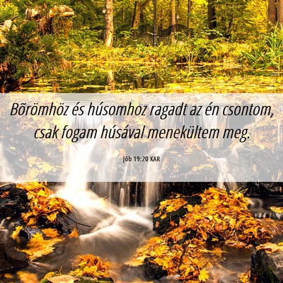 Picture 06 - Jób 19:20 KAR - Bõrömhöz és húsomhoz ragadt az én csontom, - Bible Verse Picture